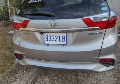 1000045665