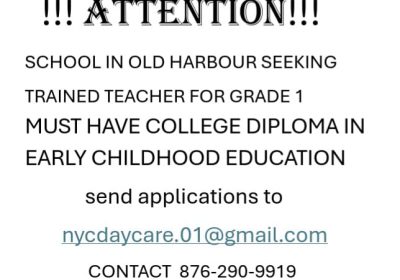 new-york-city-job